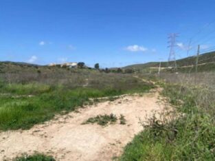 1 ha. de terreno en Ensenada BC a 2min. de carretera ppal.