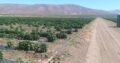 50 hectáreas de terreno productivo en Sauzal, Ensenada BC