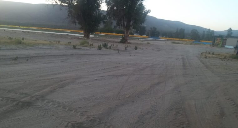 50 hectáreas de terreno productivo en Sauzal, Ensenada BC